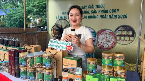Quảng Ngãi phấn đấu có thêm 60 sản phẩm OCOP đạt từ 3 sao trở lên