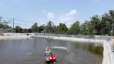 Kiểm soát 100% giống thủy sản nhập, xuất tại các cơ sở sản xuất