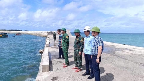 Hải Phòng tốc lực khắc phục sự cố mất điện do cây đổ sau bão Maysak