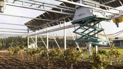 Việt Nam - Israel thúc đẩy hợp tác nông nghiệp công nghệ cao