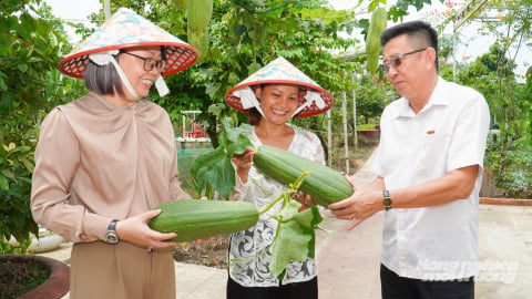 Biến vườn quê thành điểm du lịch sinh thái hút khách