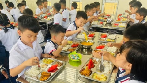 Truy trách nhiệm nhiều tổ chức, cá nhân vi phạm bữa ăn bán trú