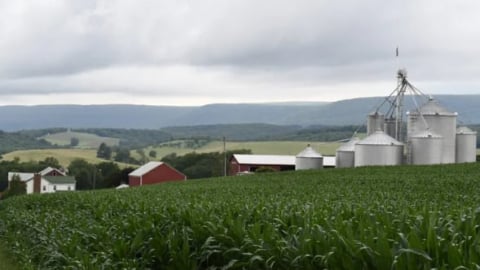 Pennsylvania siết quản lý chất thải chế biến thực phẩm trong nông nghiệp