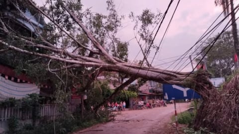 Dông lốc gây hư hại gần 60 nhà dân tại huyện Trấn Yên