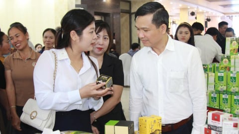 Xây dựng sản phẩm OCOP, đưa nông sản Yên Bái vươn xa
