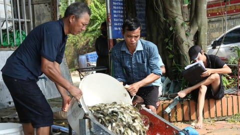 Để ngư dân đồng hành đấu tranh với nạn đánh bắt tận diệt