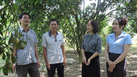 Đưa Quy Mông thành xã phát triển khá vào năm 2030