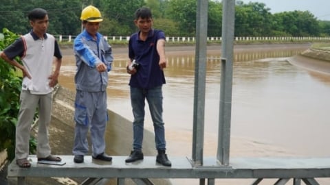 Bình Dương vào cuộc xử lý xác heo chết 'bức tử' kênh thủy lợi