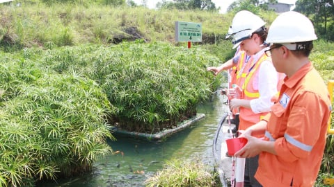 Năm thứ 4 liên tiếp, Masan có tên trong Top 50 Doanh nghiệp phát triển bền vững