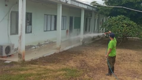 TP.HCM phát hiện thêm 2 ổ dịch tả heo Châu Phi