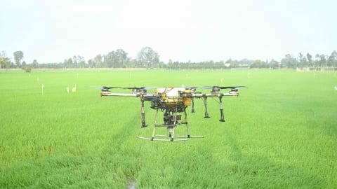 Tập huấn chuyển đổi phương thức sử dụng thuốc bảo vệ thực vật