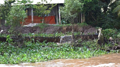 Dân cù lao Tân Phong mong kè chống sạt lở