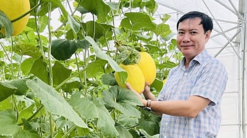 Ông Lê Hà Luân giữ chức Giám đốc Sở Nông nghiệp và Môi trường Đồng Tháp