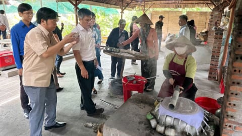 Cù lao Thới Sơn – điểm hẹn du khách miền Tây