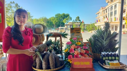 Đồng Tháp hỗ trợ cơ sở nông thôn quảng bá sản phẩm bằng AI