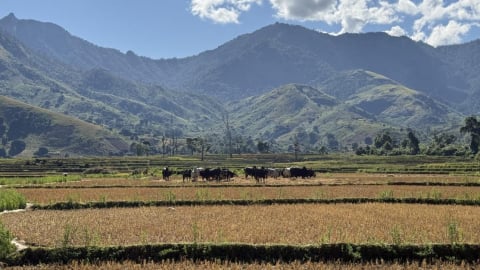 UNESCO đưa Rừng mưa Atsinanana ra khỏi danh sách di sản bị đe dọa