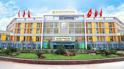 Điểm xét tuyển đại học 2025 khối ngành nông nghiệp cao nhất là 24 điểm