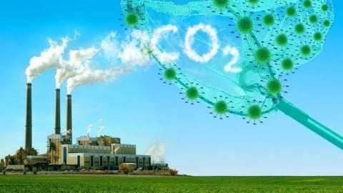 Quy định mới về thị trường carbon từ ngày 1/8