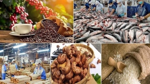 Sắp diễn ra Hội nghị thúc đẩy xuất khẩu nông lâm thủy sản 2025
