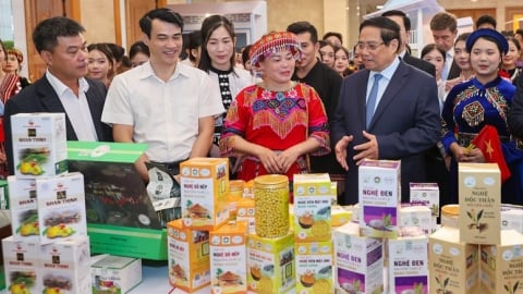 Cả nước hoàn thành sớm mục tiêu xóa nhà tạm, nhà dột nát