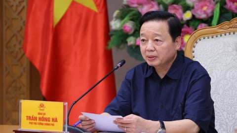Gỡ vướng khai thác khoáng sản bằng giải pháp cấp bách và sửa luật bài bản