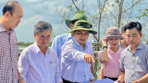 Vĩnh Long khẩn trương xử lý sụt lún kè sông Cổ Chiên