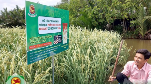 Hợp tác hướng đến nền nông nghiệp các bon thấp và bền vững