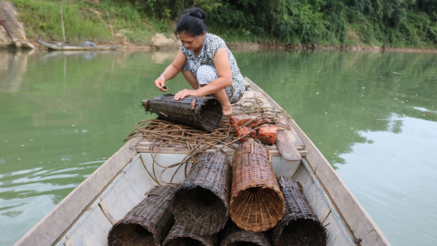 'Đó rách ngáng trộ' có nghĩa là gì