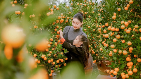 Đứa con xa xứ nghĩ về Mẹ và mùa xuân vĩnh cửu