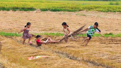 Nghề nông Quảng Ngãi qua ca dao, dân ca: [Bài 1] Ai ơi chớ phụ nghề nông
