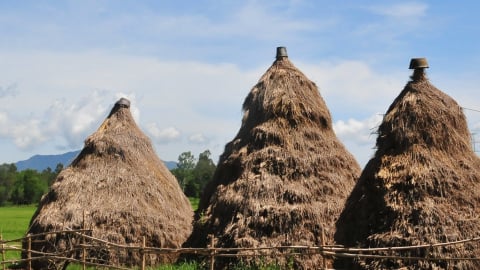 Nghề nông trong ca dao, dân ca Quảng Ngãi: [Bài 2] Xứ sở của trăm nghề