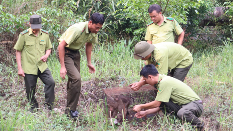 Thả 7 động vật nằm trong sách đỏ về tự nhiên