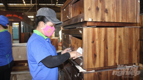 Bình Dương ưu tiên nguồn lao động chất lượng cao