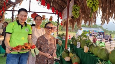 Du lịch nông thôn 'hút' khách
