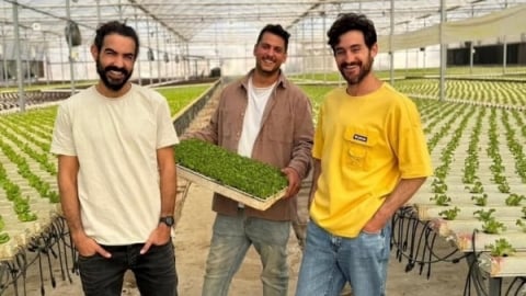 Israel dùng điện để 'cách mạng hóa' cây trồng