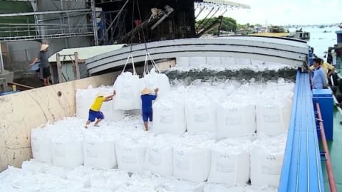 Doanh nghiệp xuất khẩu gạo kỳ vọng mức giá tốt hơn