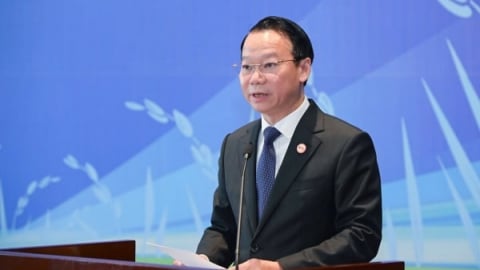 'Không chuyên nghiệp hóa, thị trường Mỹ có thể thành điểm nghẽn tăng trưởng'