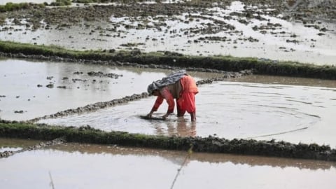 Fears among India’s farmers rise over US food imports crossing ‘red line’