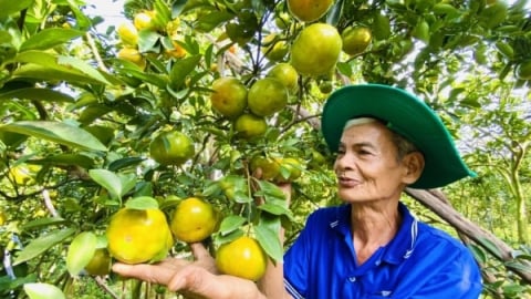 Đồng Tháp có thêm 6 xã đạt chuẩn nông thôn mới kiểu mẫu