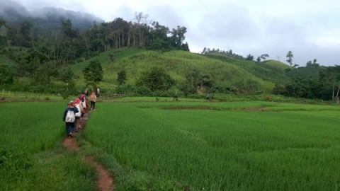 Tương lai 'nâng hạng' của Khu Dự trữ  thiên nhiên Mường Nhé bắt đầu từ 5 kỳ vọng