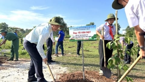 Thực hiện chiến lược lâm nghiệp bền vững từ hoạt động trồng cây
