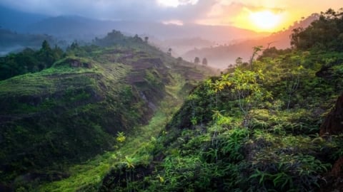 Gắn kết học thuật với chính sách lâm nghiệp thông qua mạng lưới nghiên cứu