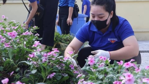 Phường Đại Kim (Hà Nội) ra quân tổng vệ sinh nhân Ngày Môi trường thế giới