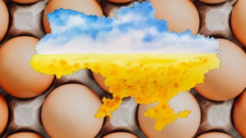 Ukrainian company plans egg gigafarm