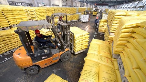 Fertilizer Price Shakeup: China’s decision to limit outbound supply is shifting trade flows