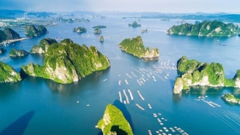 Đề xuất phân cấp 86 thẩm quyền của Bộ trưởng Bộ Nông nghiệp và Môi trường cho cấp tỉnh