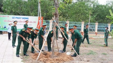 Trồng cây xanh vì thế hệ mai sau