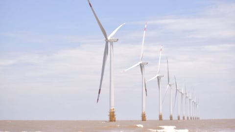 Xứ dừa bứt phá với phong trào 'Đồng Khởi mới'