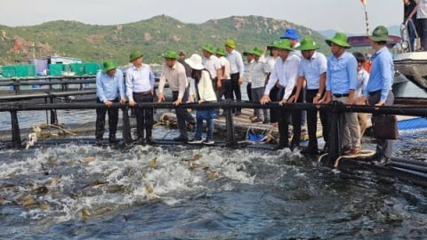 Nuôi biển tiên tiến - xu hướng tất yếu: [Bài 3] Tạo động lực từ chính sách