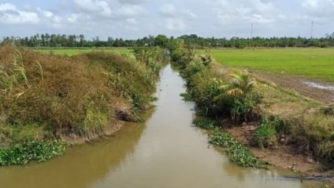 Xâm nhập mặn ở đồng bằng sông Cửu Long tiếp tục giảm